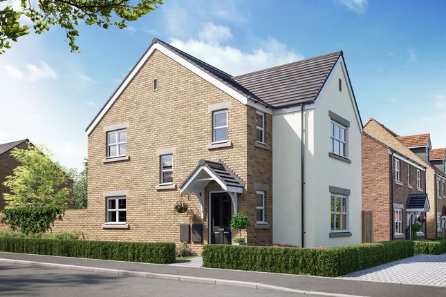 Detached house for sale in "The Hatfield Corner" at Wetland Way, Whittlesey, Peterborough