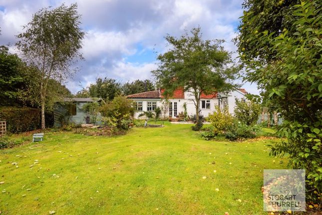 Thumbnail End terrace house for sale in Station Cottages, Station Road, Thorpe Market, Norwich