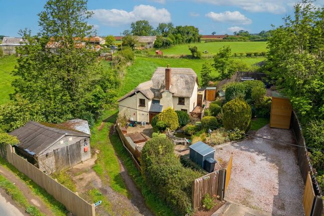 Butterchurn Cottage Knowle, Crediton photo 4