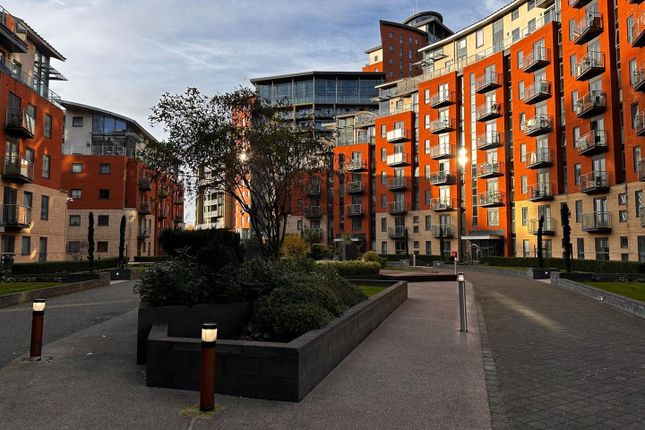 Whatsapp Image 2024-11-16 At 14.26.30_c69989d7.Jpg