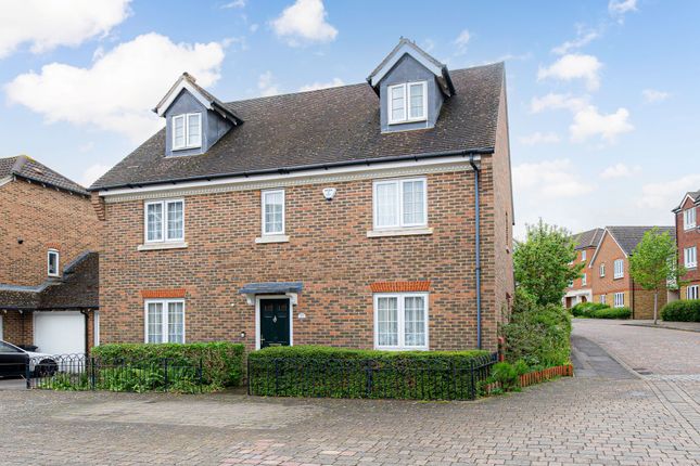 Thumbnail Detached house for sale in Running Foxes Lane, Ashford