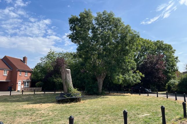 11, Montacute Circus, Weston-super-Mare, North Somerset photo 3