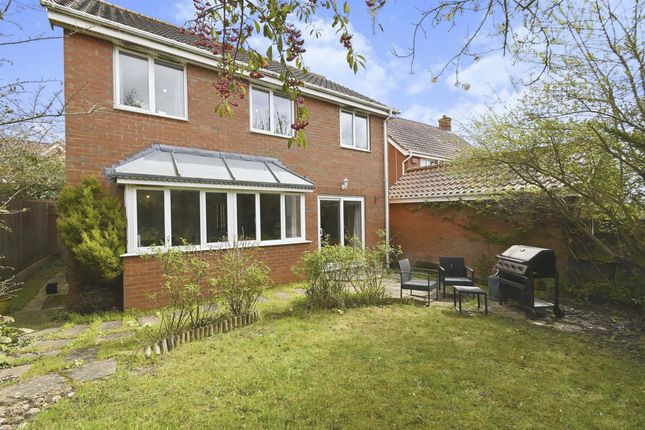 Detached house to rent in Mardle Street, Norwich