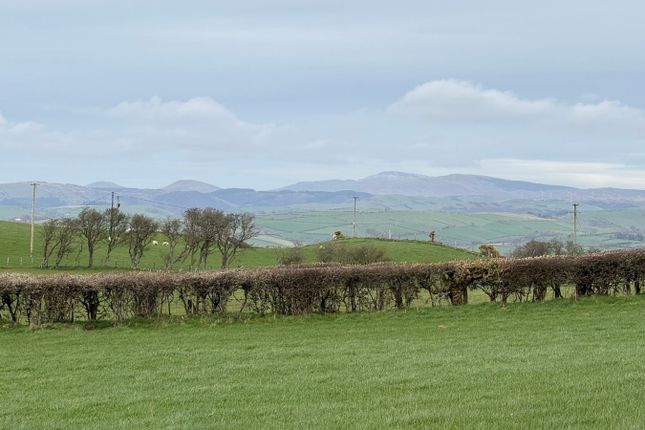 Pen Ty Parc, Llanilar, Aberystwyth photo 3