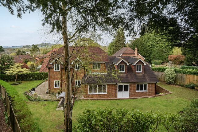 Rear Elevation