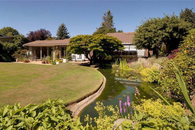 3-bed bungalow on 80, Heath Road, £1,000,000