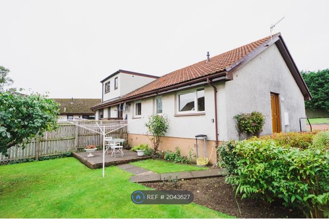 Thumbnail Semi-detached house to rent in Trynlaw Gardens, Cupar Muir, Cupar