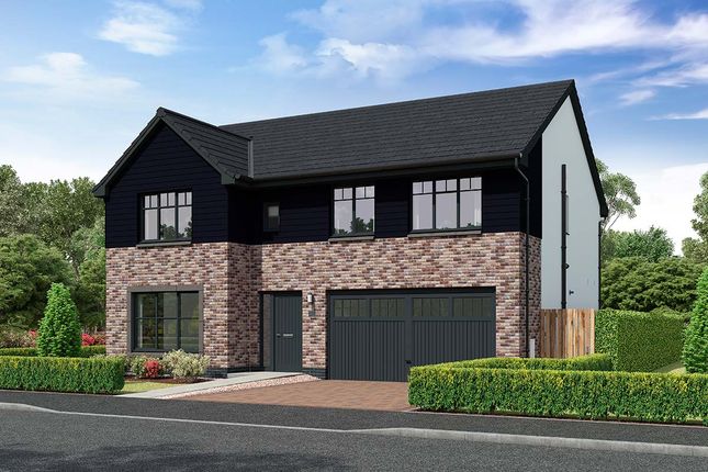 Thumbnail Detached house for sale in "Nairn" at Carron Den Road, Stonehaven