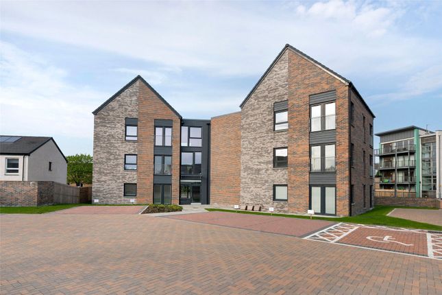 Flat to rent in Flat 1, 131 Drip Road, Stirling, Stirlingshire