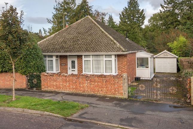 Thumbnail Detached bungalow for sale in Lackford Avenue, Totton, Southampton