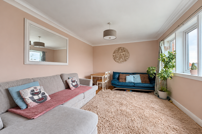 Crabtree Avenue, Brighton photo 3