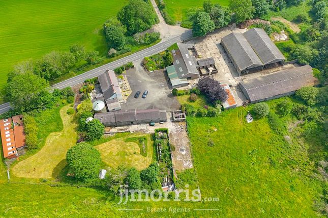Blaengafren, Crymych photo 4