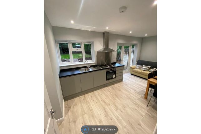Thumbnail Semi-detached house to rent in Lime Grove, Guildford