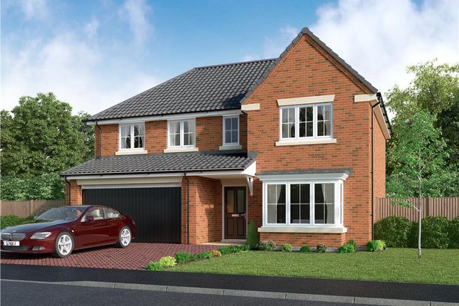 Thumbnail Detached house for sale in "The Bayford" at Welwyn Road, Ingleby Barwick, Stockton-On-Tees
