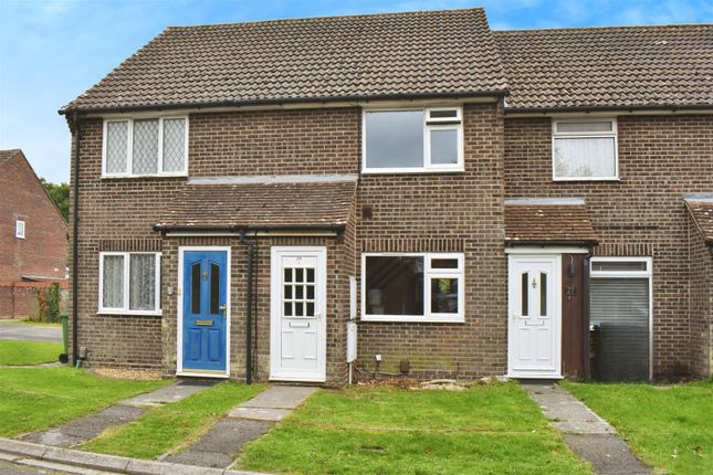 User_Edited_Photo-87c88Da3_User-Edited-14B4A2B3-F0