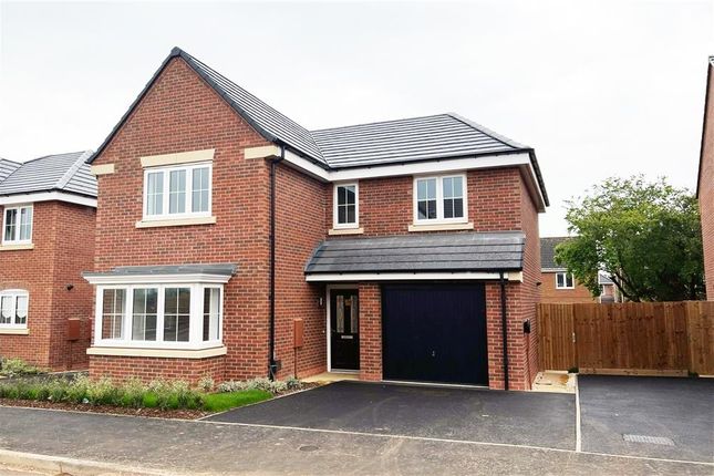 Thumbnail Detached house for sale in "Greenwood" at Linden Grove, Gedling, Nottingham