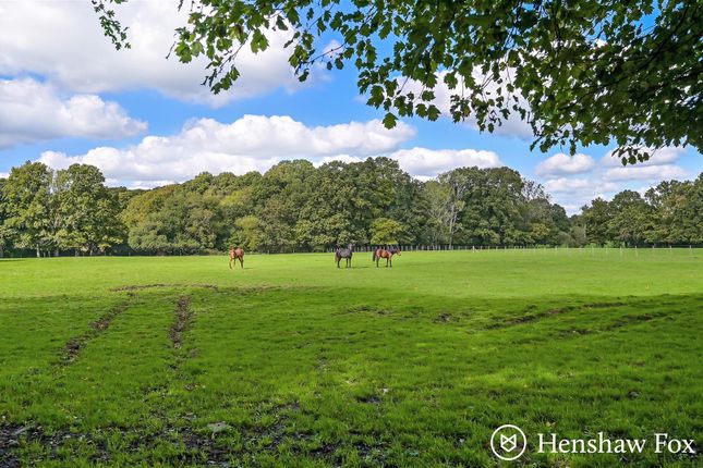 Forelands, Woodlands Drive, Southampton photo 3