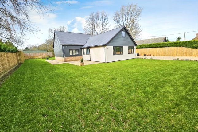 Thumbnail Detached house for sale in Wymondham Road, Bunwell, Norwich, Norfolk