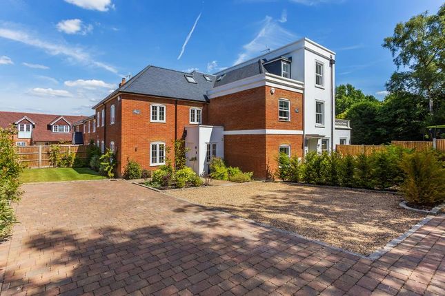 Thumbnail Semi-detached house to rent in Woking Road, Jacob's Well, Guildford