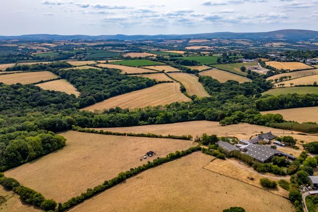 Weeke Farm, Crediton photo 4