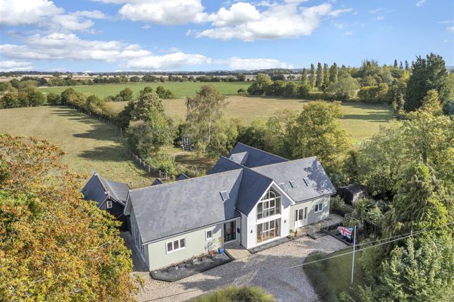 Deer View Lodge, Hibbs Green, Bury St Edmunds photo 3