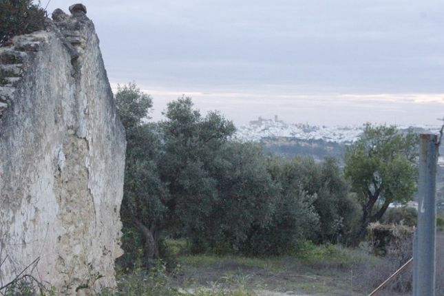 Land for sale in Arcos De La Frontera, Andalucia, Spain