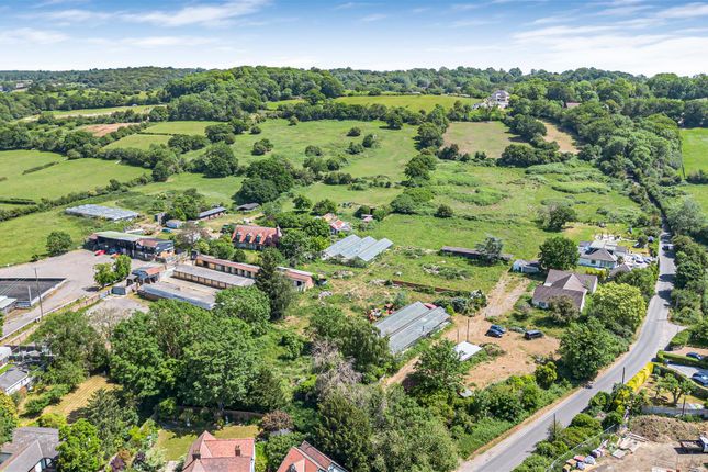 Santa Maria Nursery, Daws Hill, Sewardstone photo 2