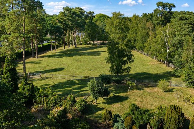 Woodacre,, Sandy Lane, Farnham photo 4