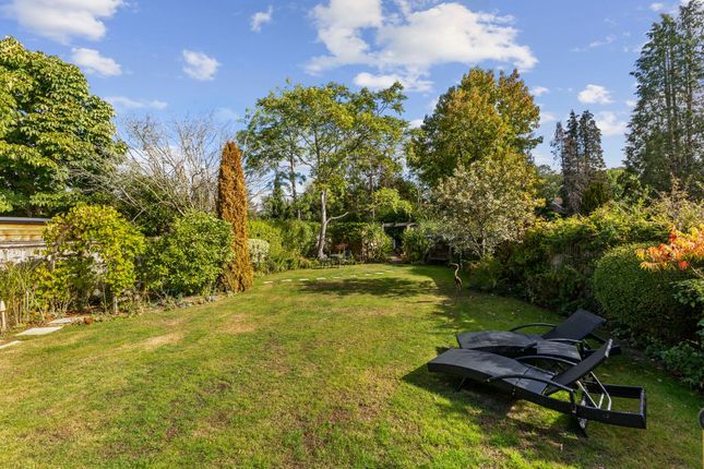 Ellerston Grove Road, Cranleigh photo 4