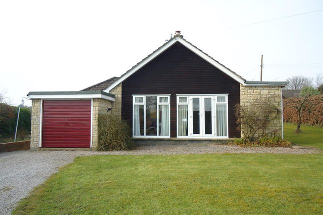 Thumbnail Bungalow to rent in The Laurels, Mynyddbach, Chepstow