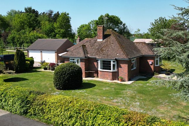 Homestead Farm, Sidlesham, Chichester photo 3