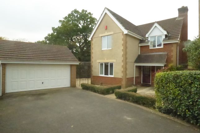 Homes To Let In Avenue Road Bovey Tracey Newton Abbot Tq13
