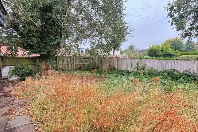 2 Muzzle Patch, Gloucester photo 4