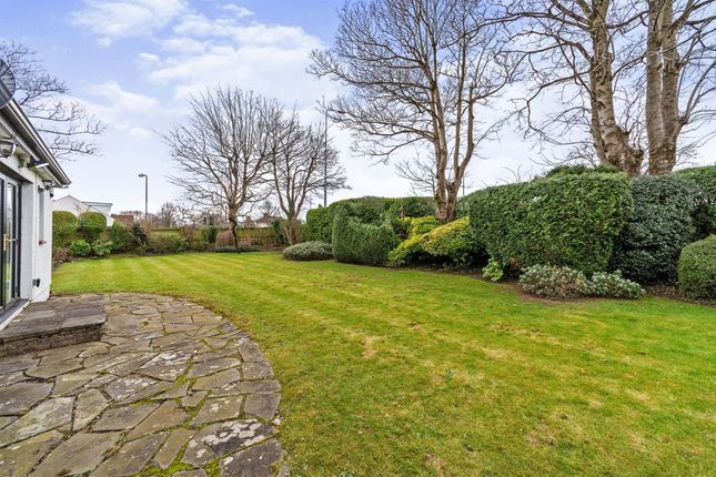 Detached bungalow for sale in Caegwyn Road, Whitchurch, Cardiff