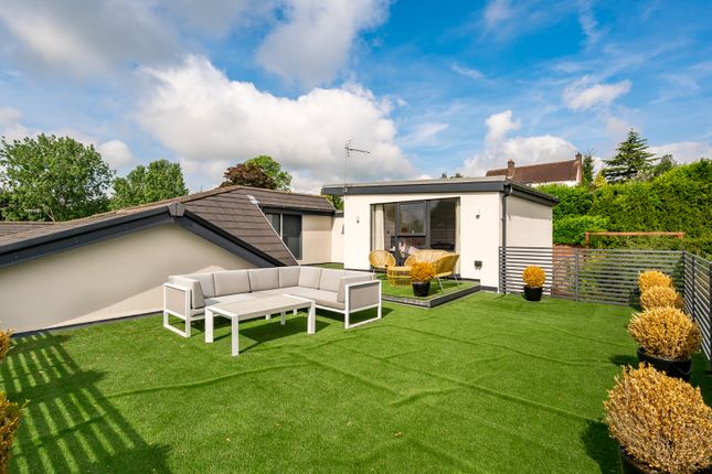 Roof Terrace