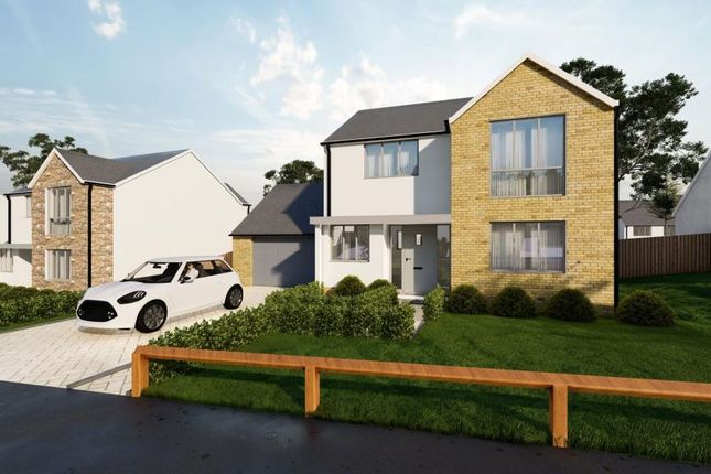 Thumbnail Detached house for sale in Florence Park, Florance Road, Callington, Cornwall