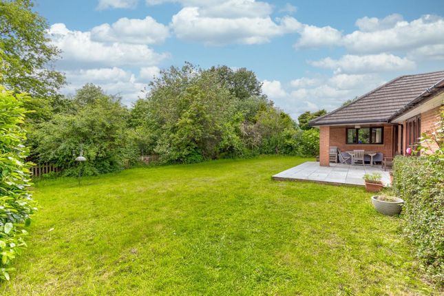 Thumbnail Detached bungalow for sale in Lister Drive, West Hunsbury, Northampton