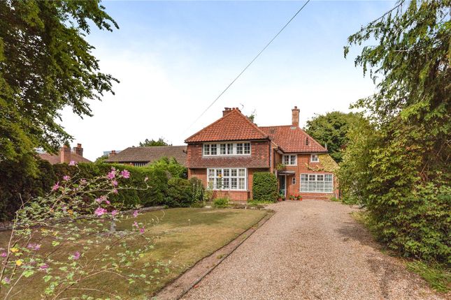 20 Bluebell Road