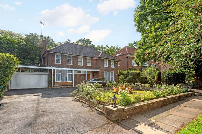 Gaywoods, 29, Winnington Road, London photo 2
