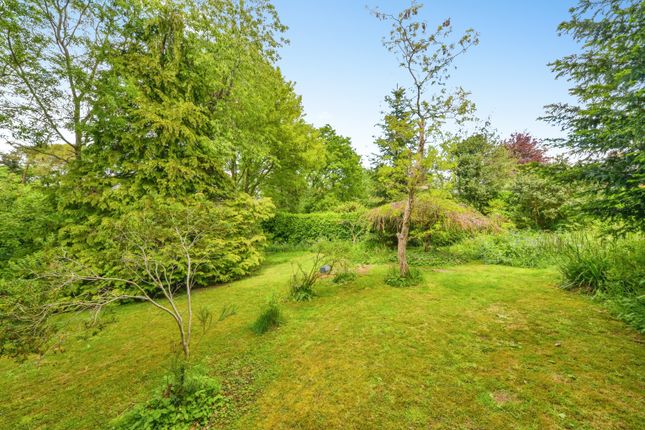 55, Attimore Road, Welwyn Garden City photo 4
