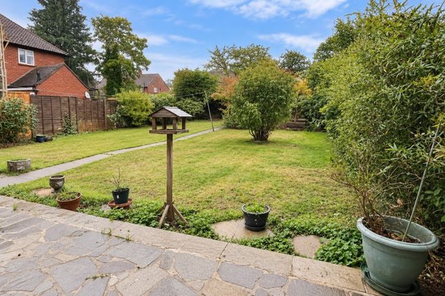 Fir Tree Road, Guildford photo 5