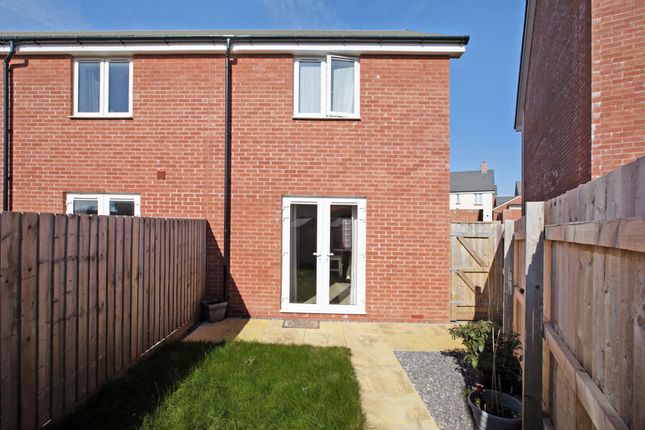 45 Shelduck Way, Dawlish photo 4