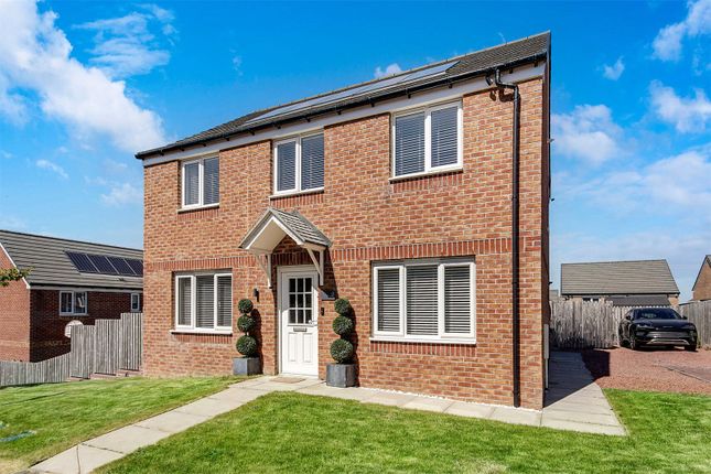Thumbnail Detached house for sale in Drumgray Drive, Cambuslang, Glasgow, South Lanarkshire