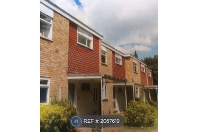 Thumbnail Maisonette to rent in The Cedars, Harpenden