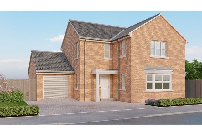 Thumbnail Detached house for sale in Strawberry Fields, Keyingham, Hull