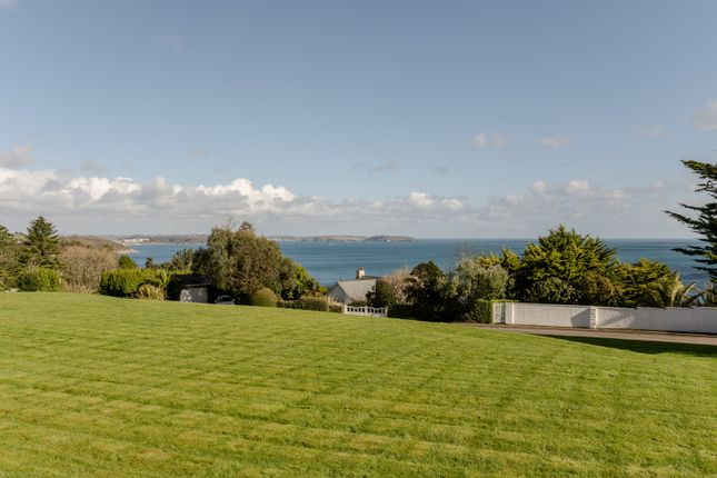 Bow Green, Trelawney Close, Falmouth photo 4