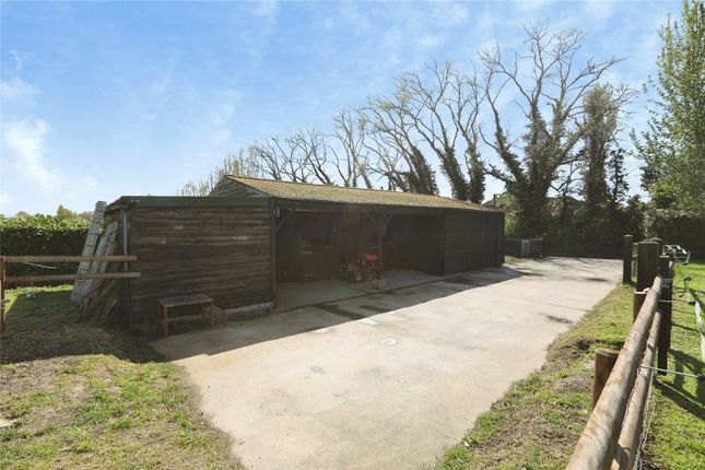 Dantlings,, Plough Road, Sheerness photo 3