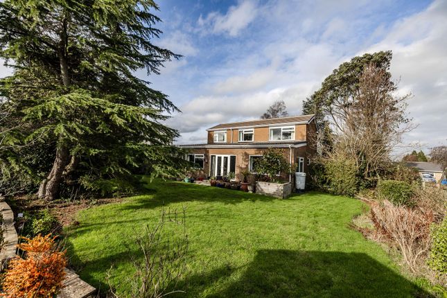 12, Wentworth Court, Ponteland photo 2