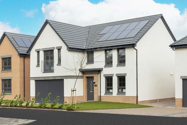 Thumbnail Detached house for sale in "Colville" at Gairnhill, Aberdeen