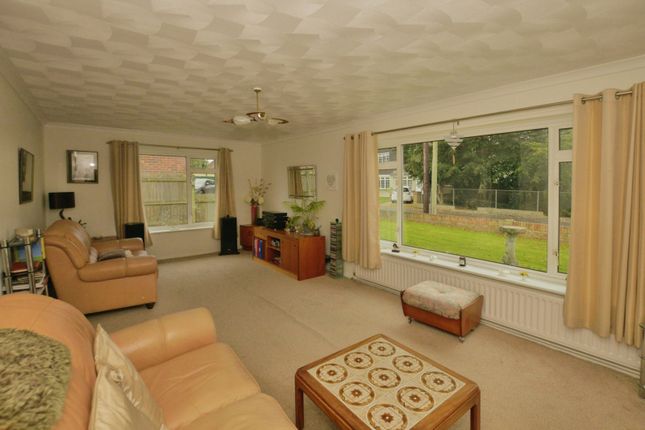 Capalano,, Spitalfield Lane, Kent photo 2